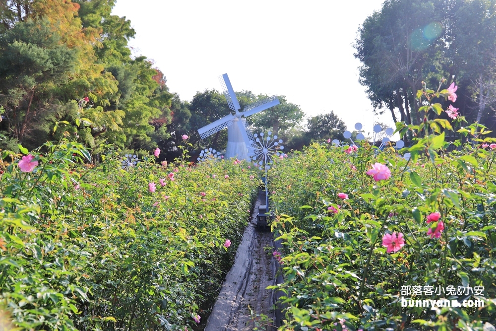 苗栗免費景點》雅聞香草植物工廠，玫瑰花園、哈比小屋隨你拍