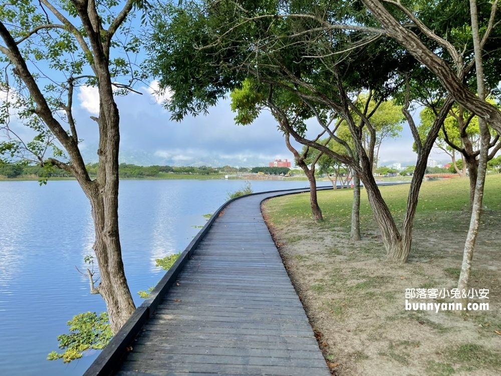 台東》明信片場景！池上大坡池夢幻湖岸，騎單車遊湖，踏青放鬆好愜意