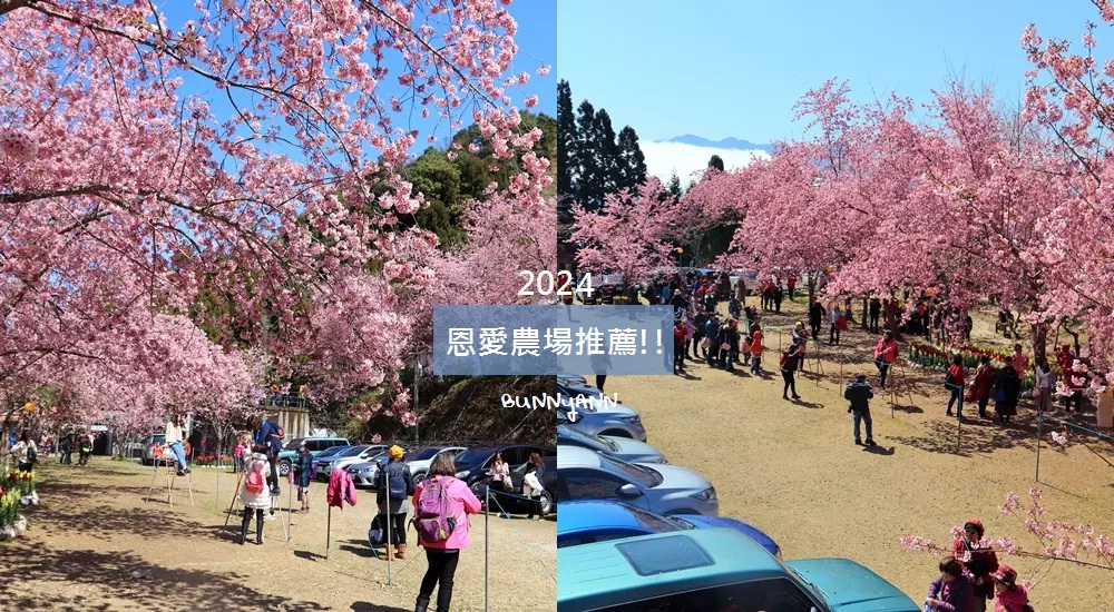 網站近期文章：拉拉山【恩愛農場】2024櫻花現況，唯美富士櫻等著你賞