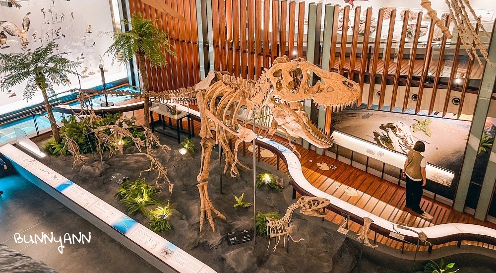 臺灣博物館》土銀展示館，神秘金庫和大恐龍化石隨你拍。 @小兔小安*旅遊札記