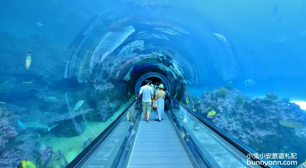 2024「屏東海生館」穿梭海底隧道，門票優惠、交通、企鵝體驗全攻略。 @小兔小安*旅遊札記