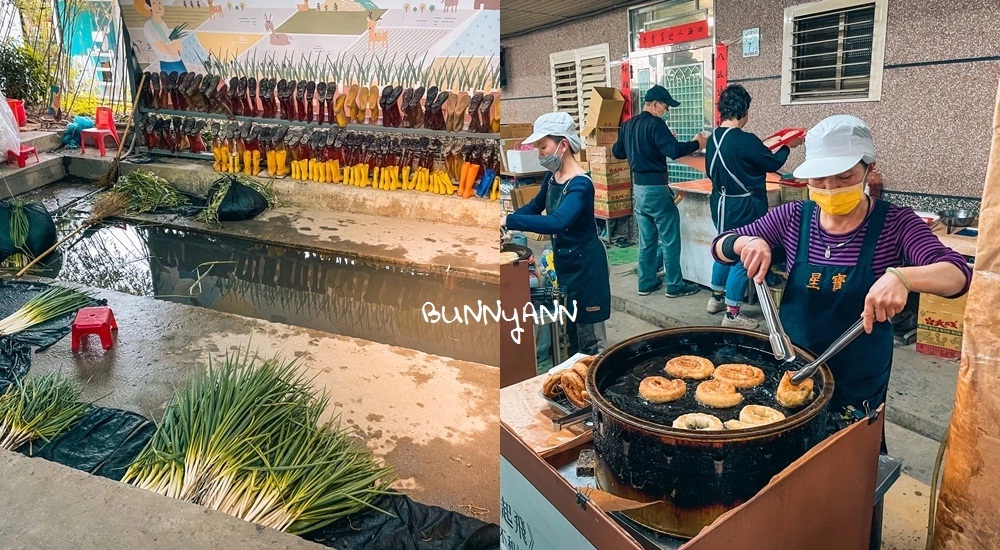 宜蘭「星寶蔥體驗農場」DIY蔥餅好讚，費用、Klook、停車全攻略。