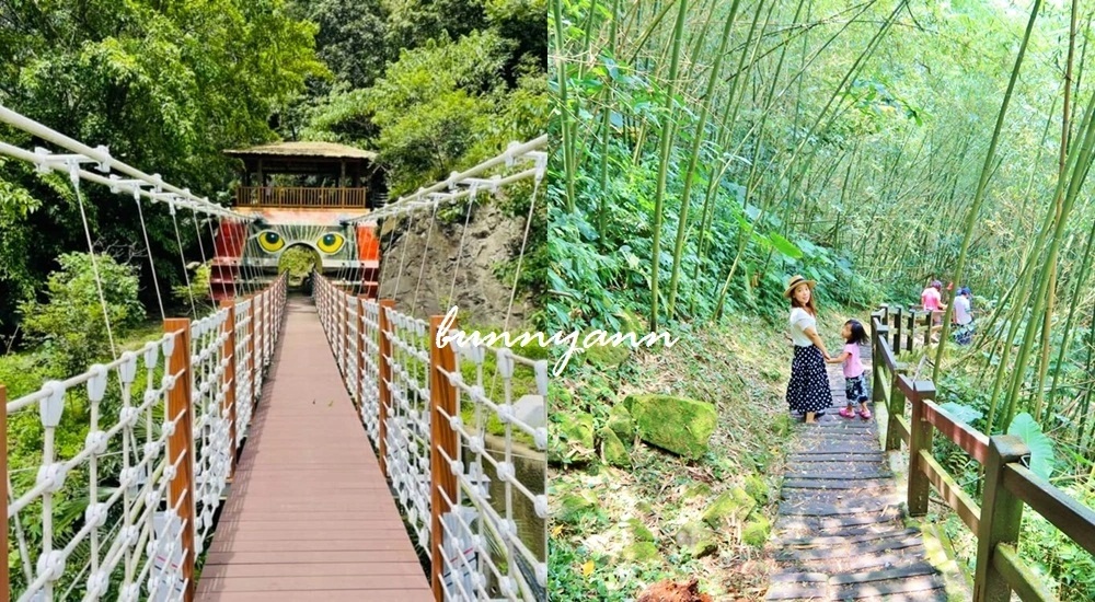 嘉義「阿里山步道」漫步茶園，15條森林步道讓你暢遊阿里山。