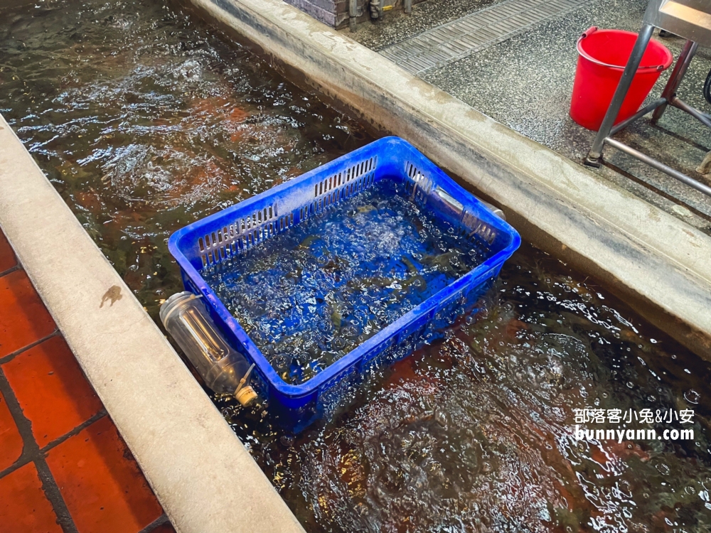 新竹美食》本部活蝦之家，有親子遊戲區的活蝦餐廳就是讚。