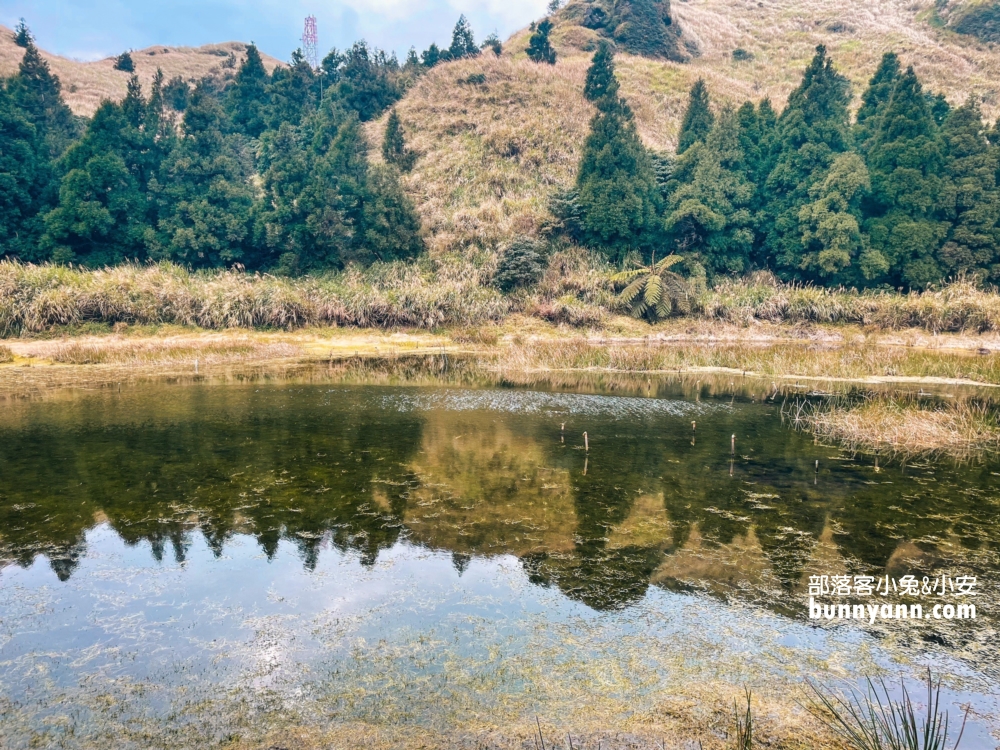 陽明山景點》夢幻湖步道，國家級生態濕地，停車與環境介紹。