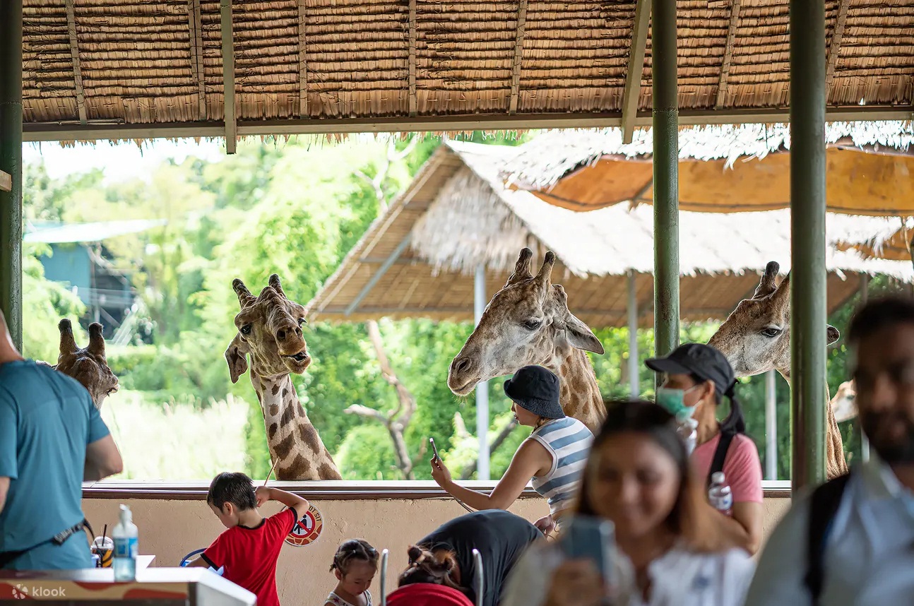 曼谷野生動物園Safari World一日遊地圖和門票優惠，園區也太好玩了。