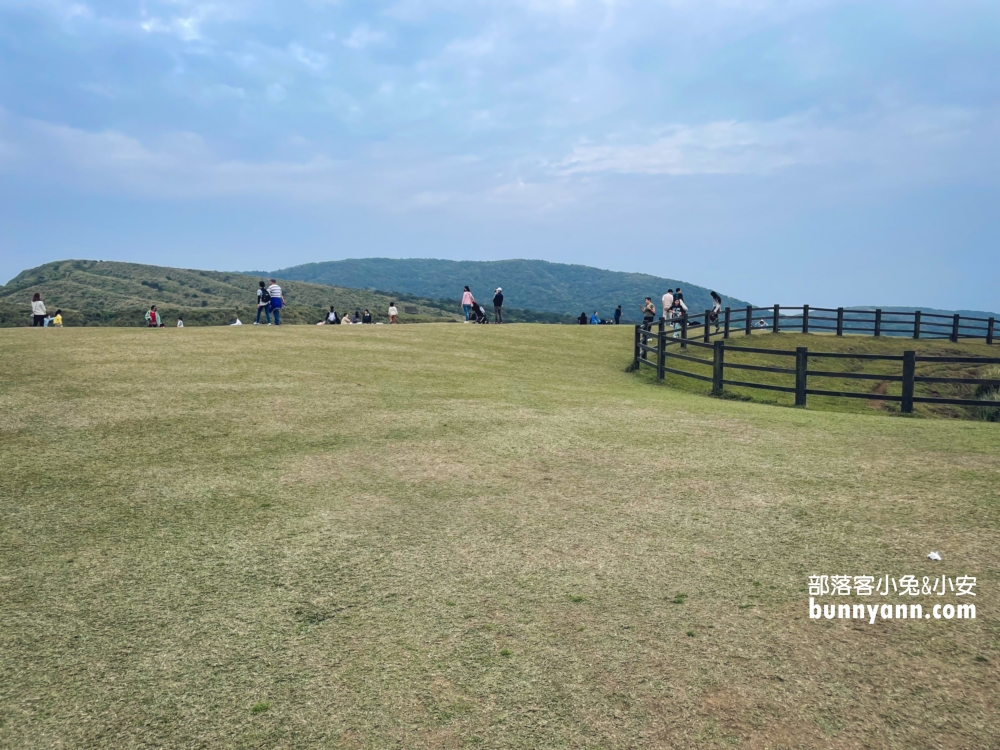 【台北陽明山】擎天崗大草原步道：免門票看牛吃草，超美大草原好療癒。
