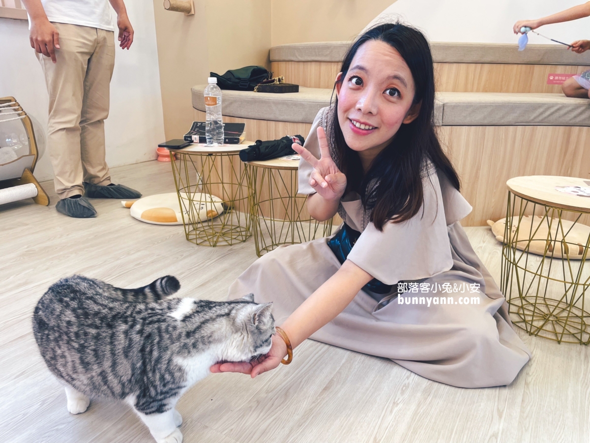【擼LALA Sweets】幫你找到了短腿貓咪咖啡廳就在綠舞國際觀光飯店