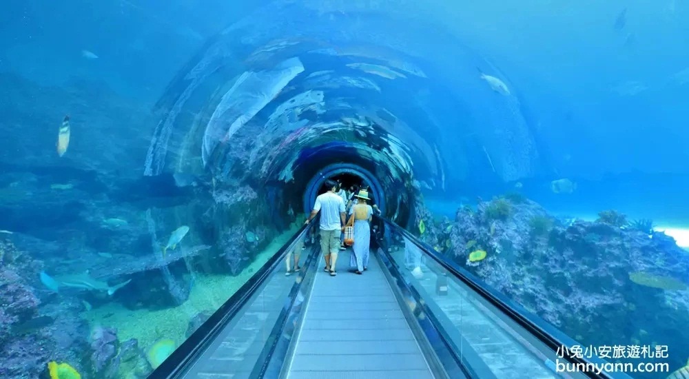 網站近期文章：屏東景點推薦：屏東海生館，台灣人最喜歡到訪的國立海洋生物博物館