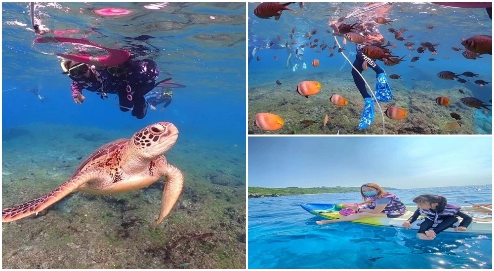 網站近期文章：小琉球景點推薦：小琉球浮潛，觀光客登島最喜歡的看海龜玩法