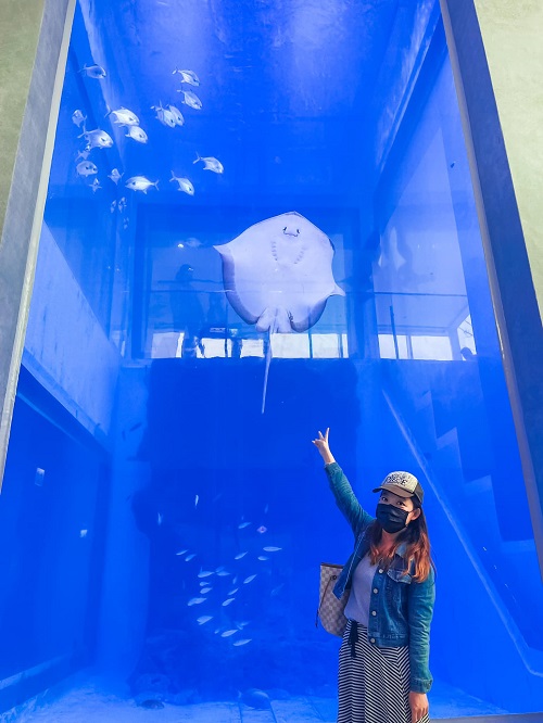 2022基隆潮境智能海洋館好好玩，門票與停車資訊整理