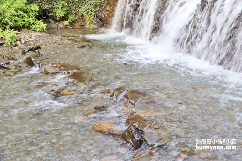 南投彩蝶瀑布，夏日踩踩水的森林瀑布，溪水乾淨又沁涼