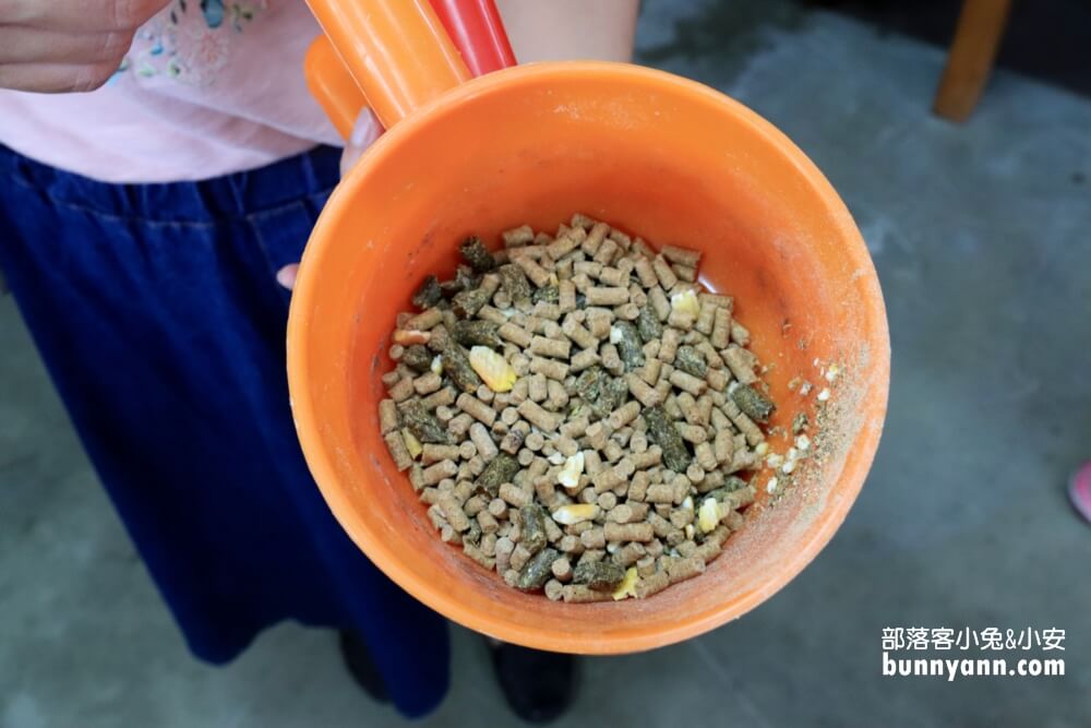 【宜蘭】農夫青蔥體驗農場，來拔三星蔥回家，餵梅花鹿吃飯