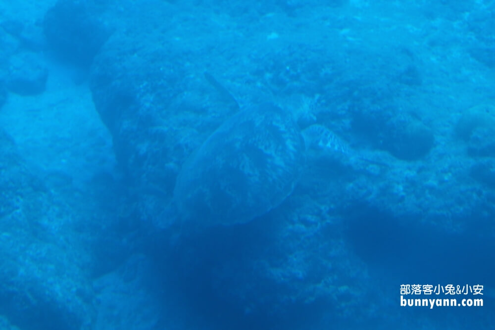 小琉球探索拉美半潛艇，看海龜和海底珊瑚，門票資訊與優惠整理!!