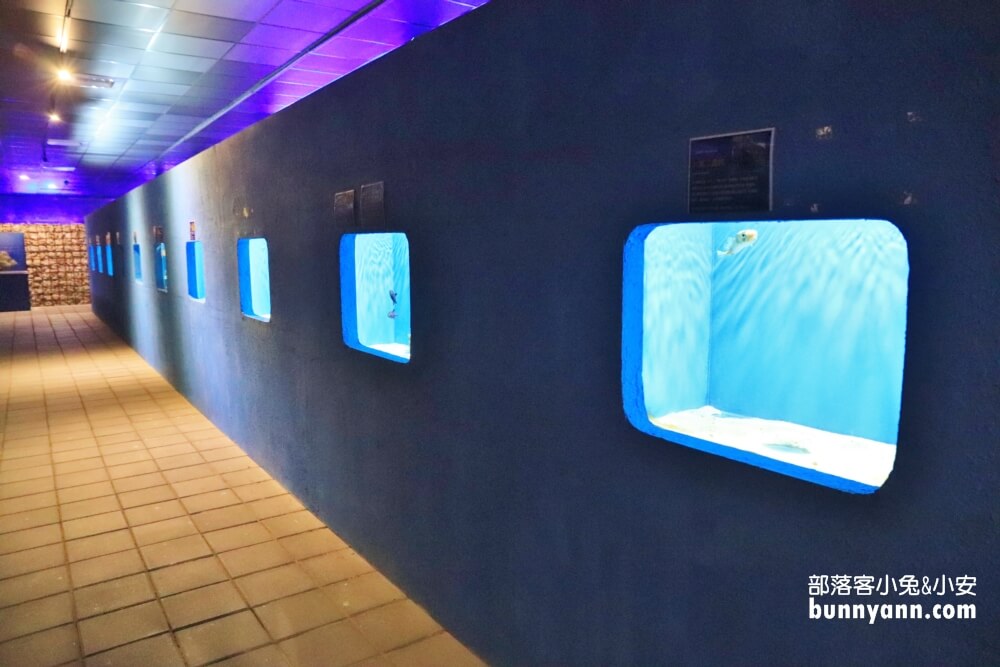 小琉球海洋館門票介紹，海星觸摸池體驗真的好好玩!!