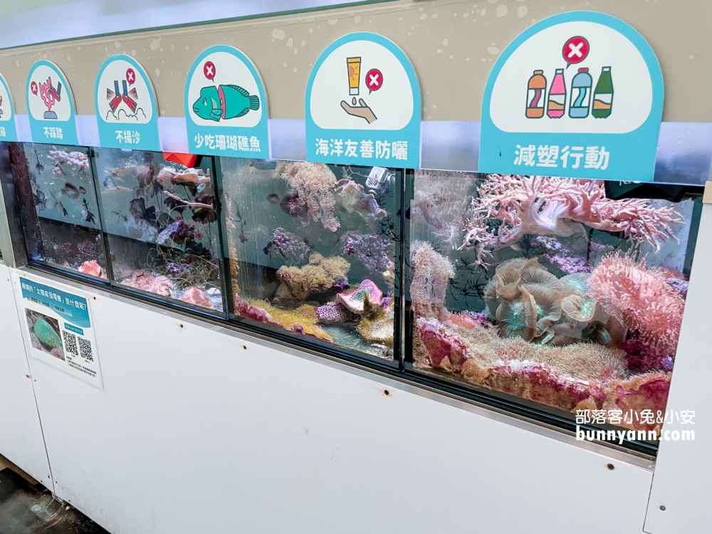 2022基隆潮境智能海洋館好好玩，門票與停車資訊整理