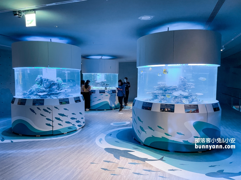 基隆【潮境智能海洋館】最強室內水族館，門票優惠分享
