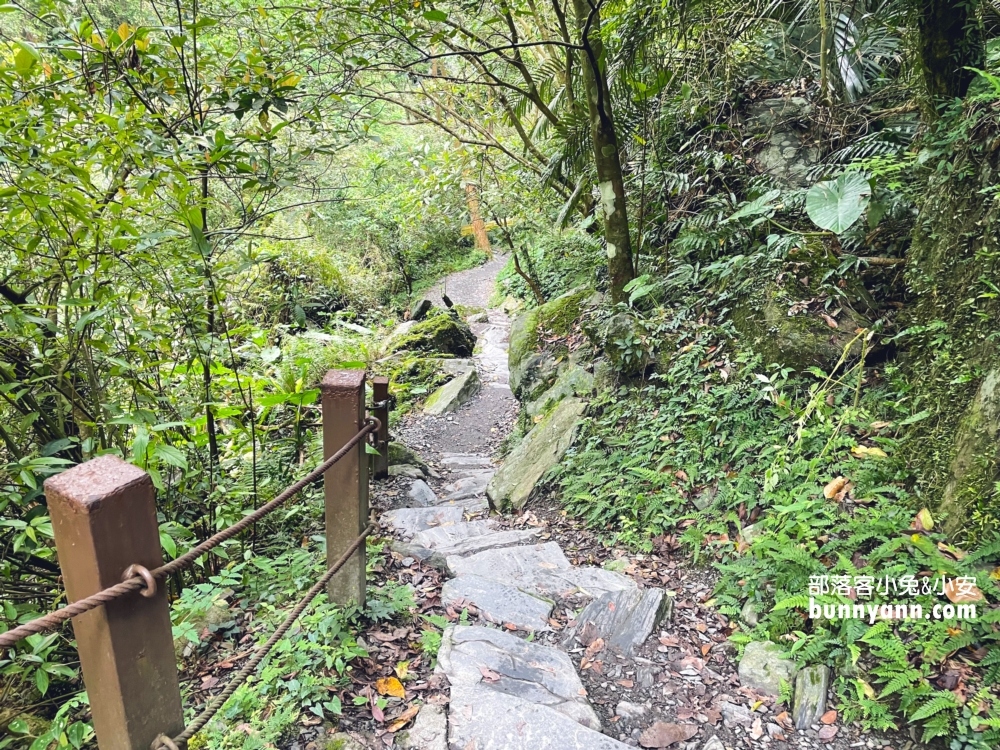 新寮瀑布步道｜森林景色環境介紹，第一層瀑布攻略我教你
