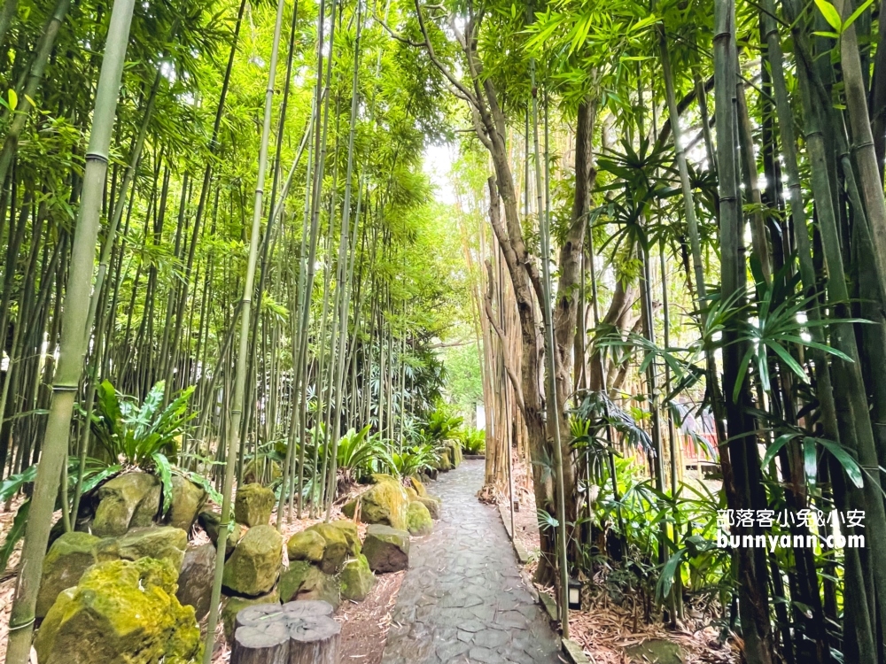 陽明山CAMA豆留森林，小京都嵐山竹林裡喝咖啡(須知)