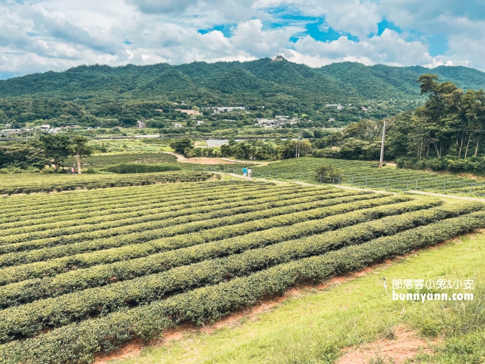 台灣農林銅鑼茶廠一日遊，門票資訊與附近景點介紹