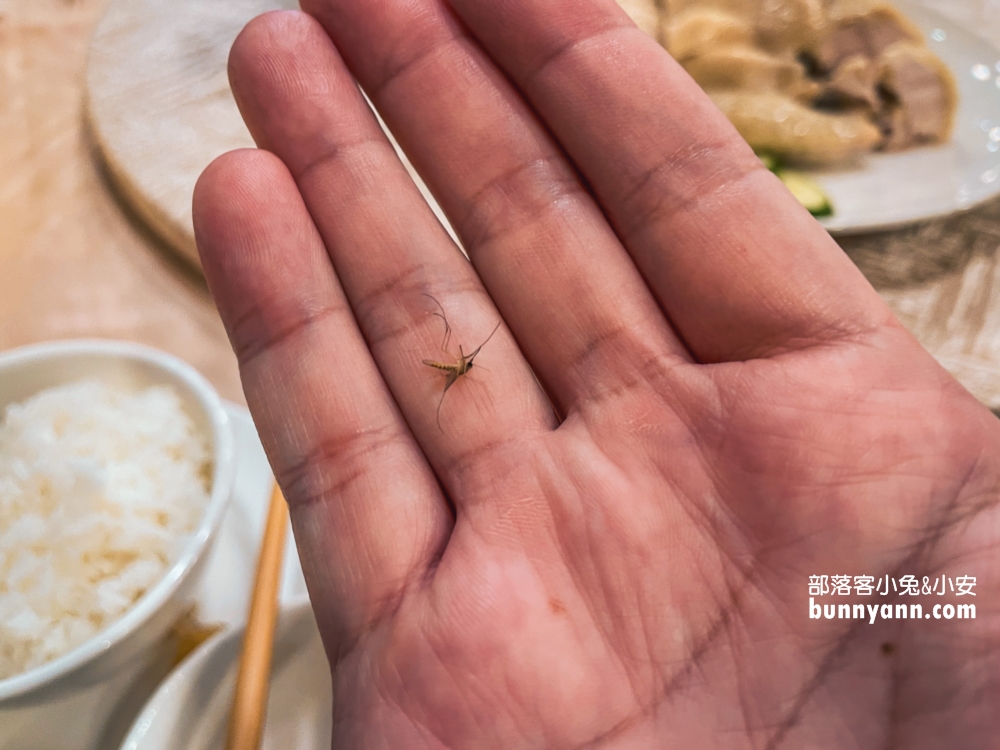 明福台菜海鮮的白切土雞傳說中的好吃(2022菜單)