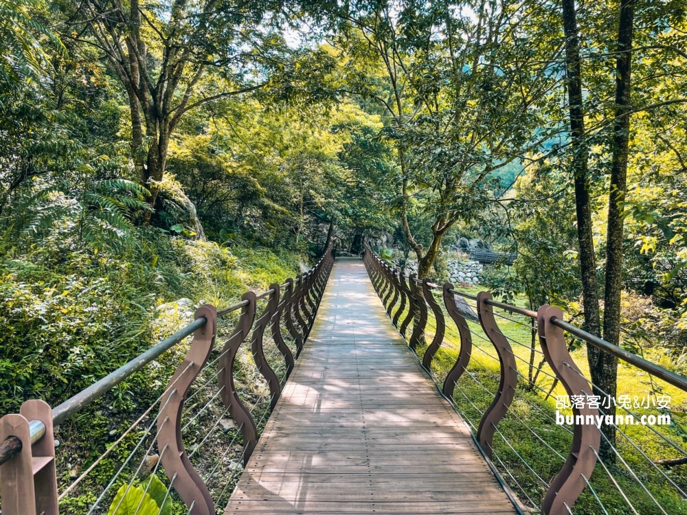 超詳細【八仙山國家森林遊樂區】一日遊森林步道與泉水戲水池