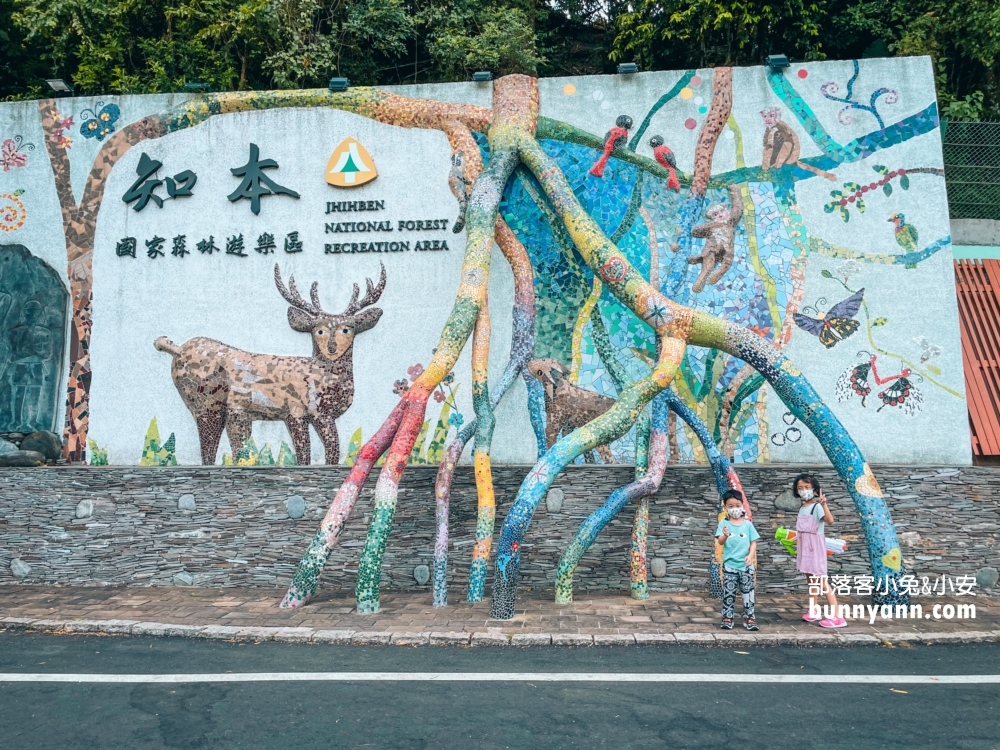 台東知本國家森林遊樂區好玩嗎，門票價格與停留時間參考