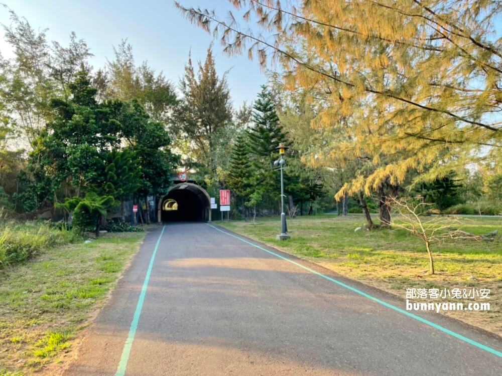 台東景點》台東森林公園，走進森林賞琵琶湖，騎單車漫遊好地方!