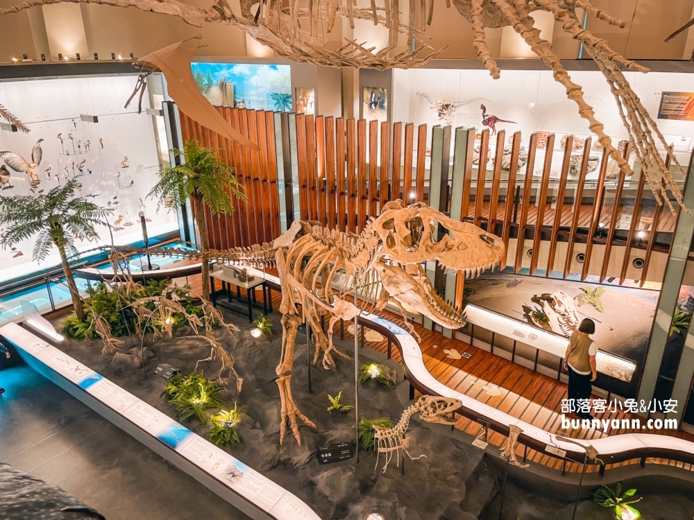 臺灣博物館土銀展示館，神秘金庫和大恐龍化石隨你拍