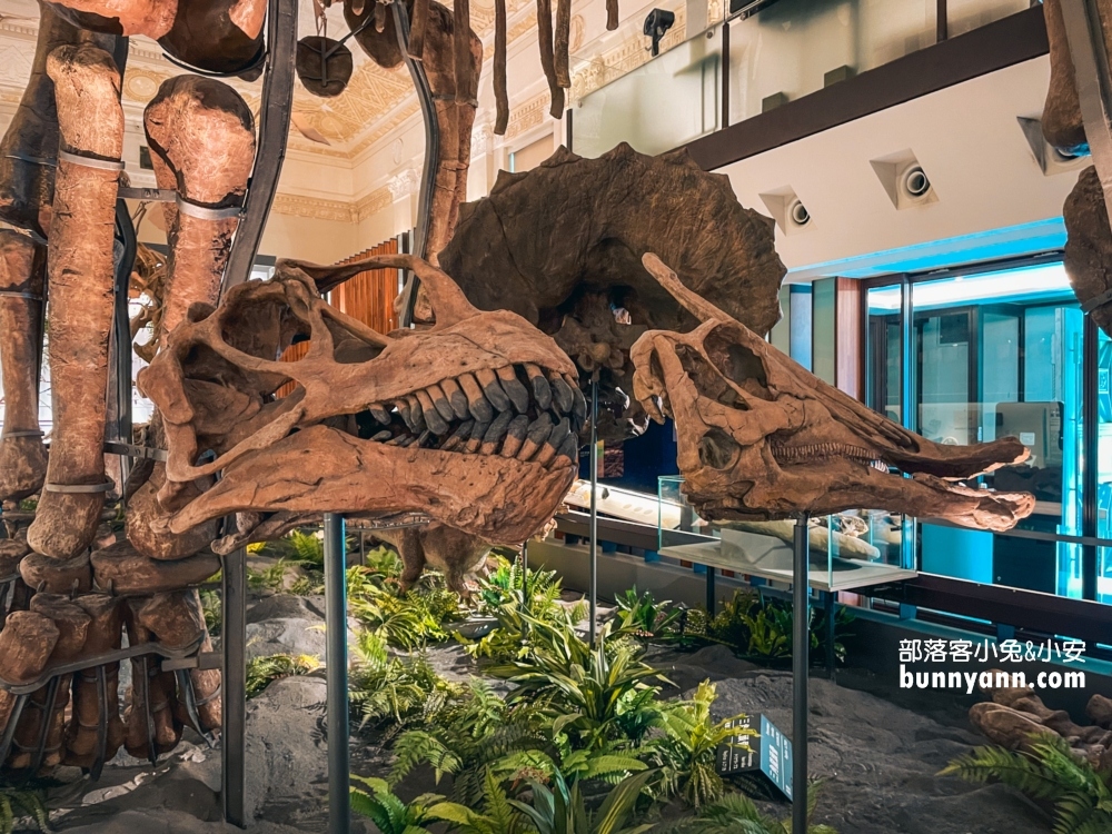 臺灣博物館土銀展示館，神秘金庫和大恐龍化石隨你拍