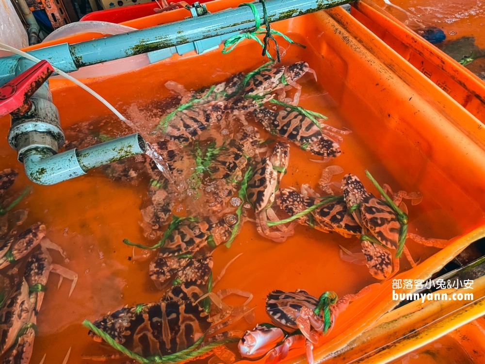 【阿嬌萬里蟹】萬里海鮮餐廳，吃螃蟹基本排隊一小時起