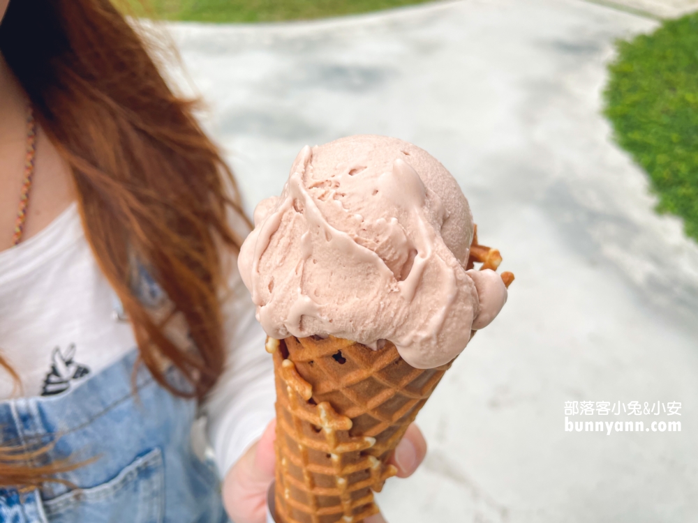 【台中】Nice Day義式冰淇淋，可愛甜筒冰淇淋店
