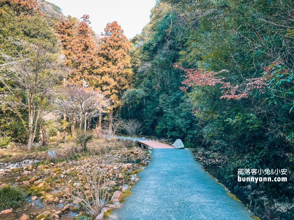 日本美禰【秋芳洞】三億年鐘乳石洞，順遊秋吉台地質公園