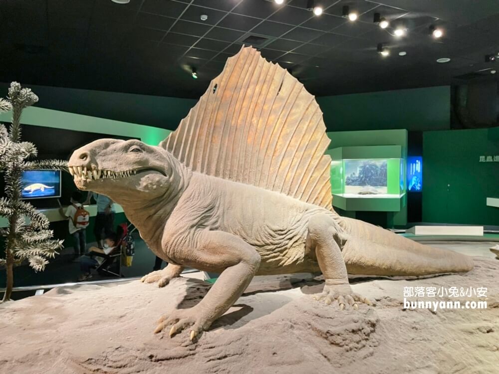 台中科博館秒飛侏儸紀公園！國立自然科學博物館，恐龍迷必訪場館