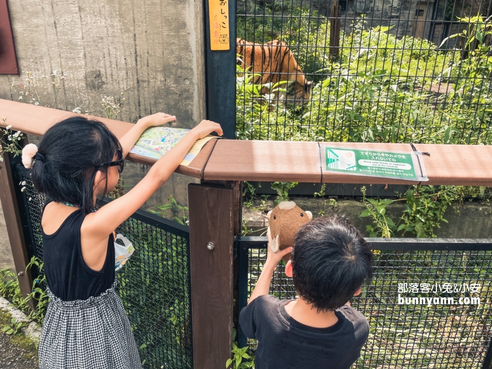 【旭山動物園】北海道企鵝散步，這樣玩旭山動物園一日遊!!