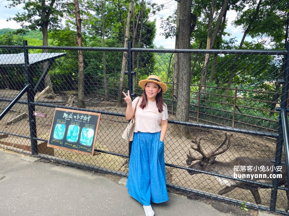 【旭山動物園】北海道企鵝散步，這樣玩旭山動物園一日遊!!