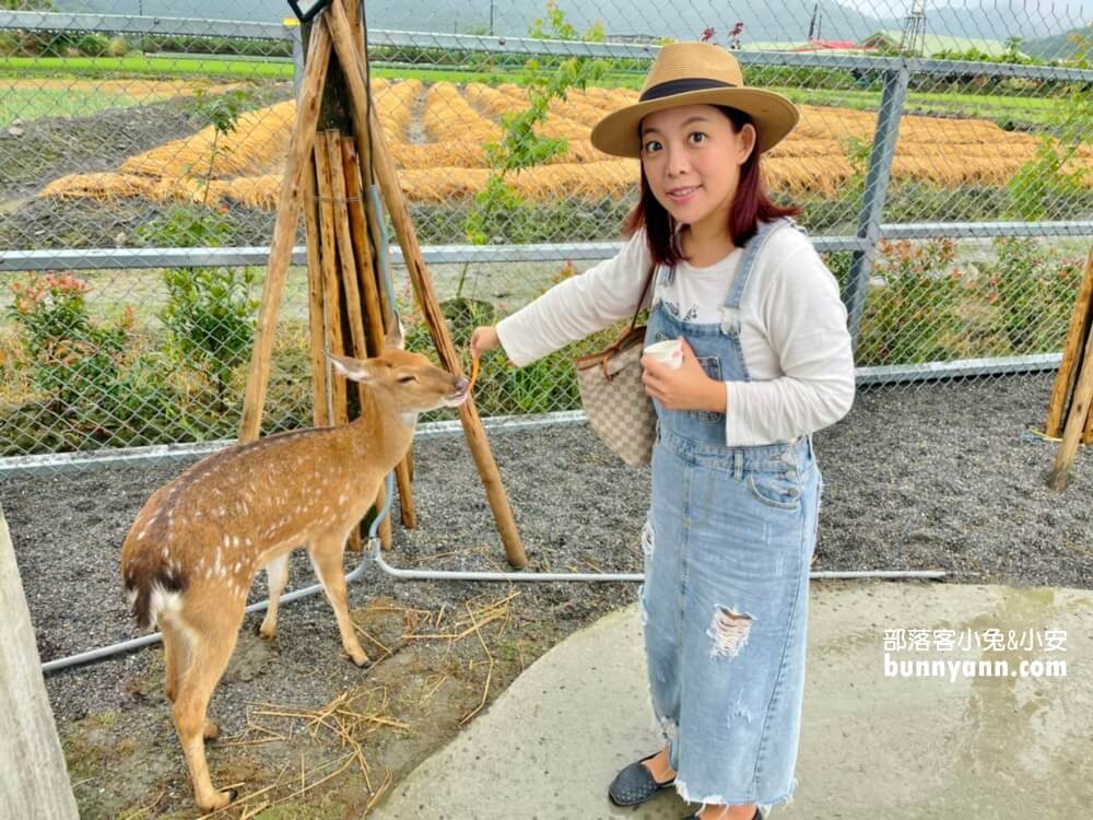 台灣梅花鹿景點推薦，10個可餵鹿地點，和小鹿互動就是療癒