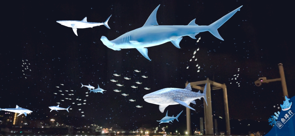 東岸旅客中心｜基隆港好食城AR虛擬實境「與鯨鯊共游」也太夢幻了。