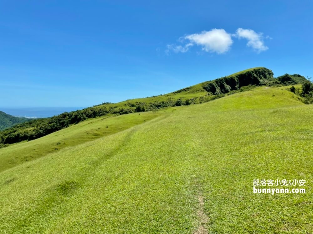 新北景點》桃源谷步道內寮線，半小時攻頂山陵線，眺望北台灣最美大草原