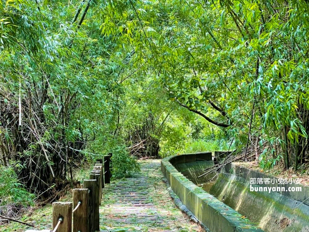 台中景點》烏日知高圳步道，漫遊森林水圳步道，登山肉腳也能輕鬆走