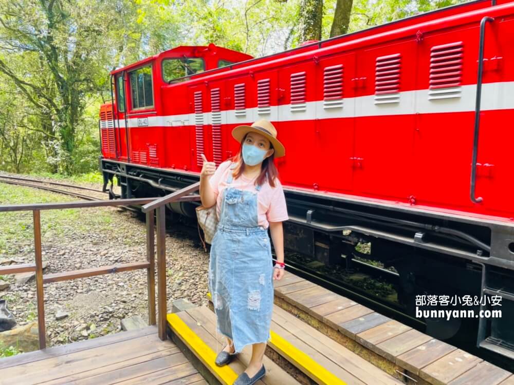 2024【嘉義】阿里山國家森林遊樂區，搭小火車訪神木群這樣玩。
