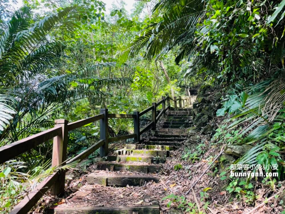 達娜伊谷自然生態公園，美拍貓頭鷹吊橋與部落風情，探訪忘憂秘境