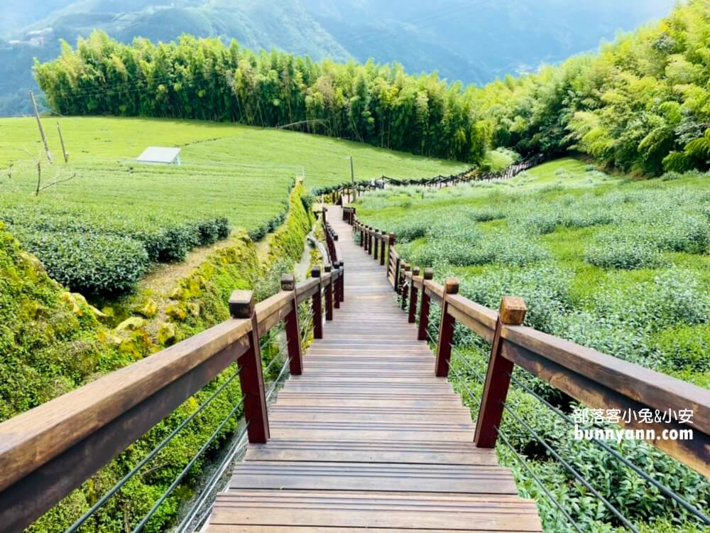 嘉義TOP15條森林步道分享，訪阿里山賞飛瀑、健走沐浴大自然