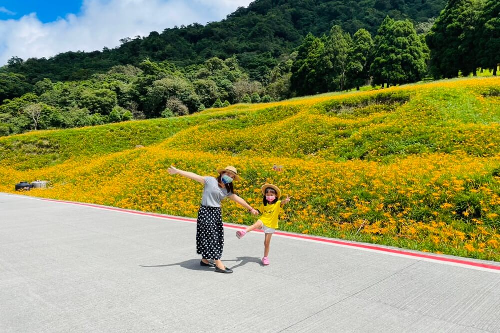 赤柯山小瑞士農場｜即時影像和花況分享，金針花季熱門賞花景點