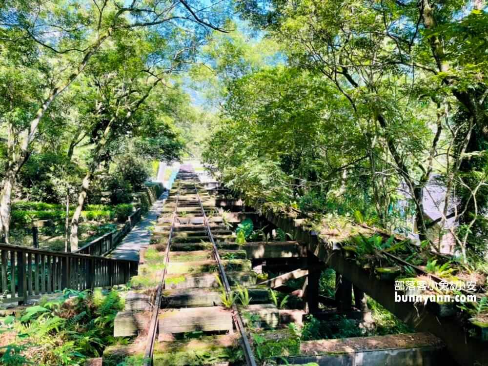 【林田山林業文化園區】暢遊森林鐵道，東部三大林場之一