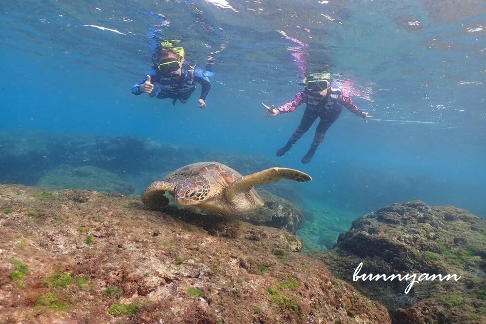 屏東小琉球浮潛&獨木舟這樣玩，和海龜共游好開心，花瓶岩超美麗