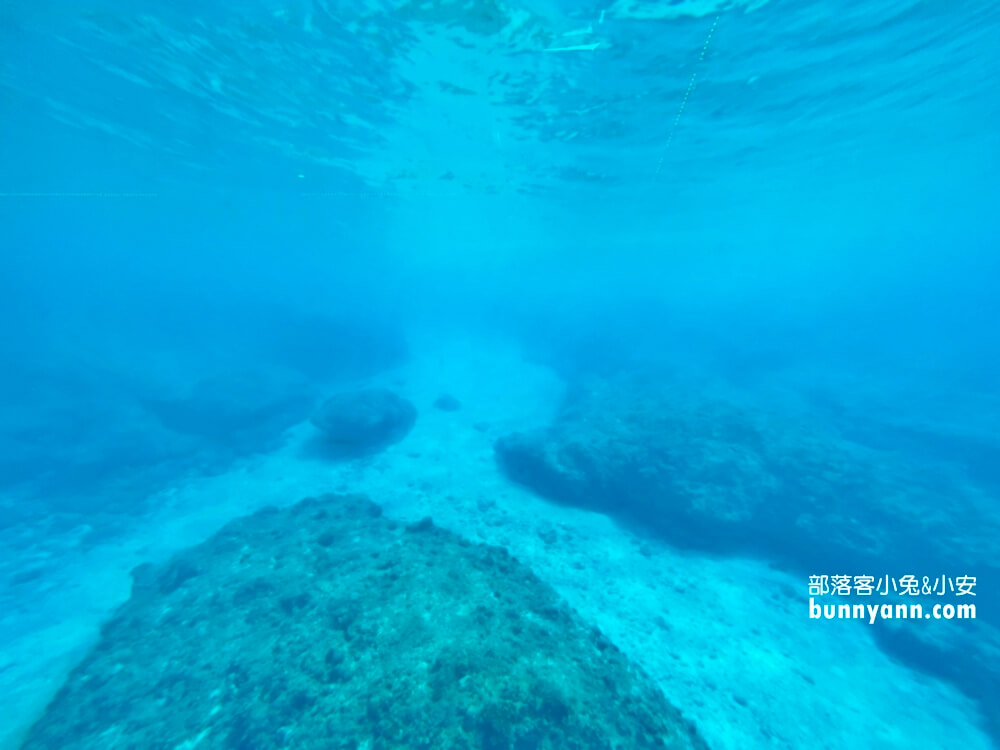小琉球探索拉美半潛艇不好玩？看海龜&珊瑚海底美景還不錯