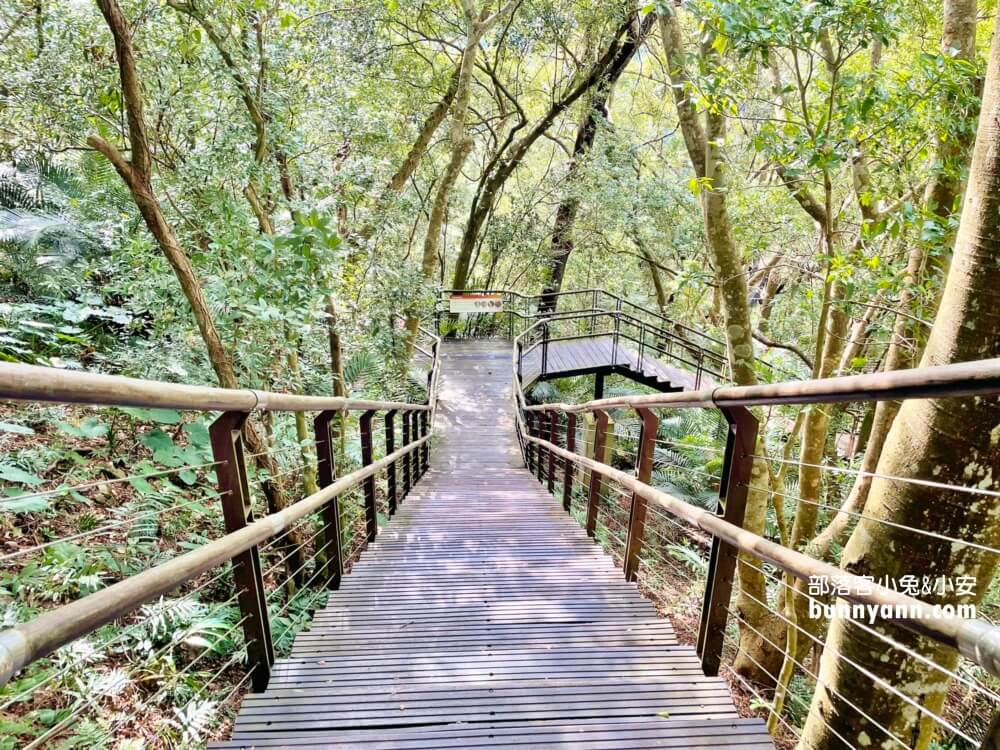 桃園巴陵古道生態園區，免費暢遊四座生態館，森林吊橋好有趣