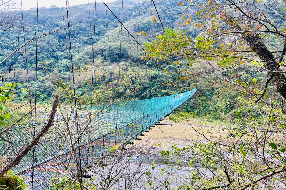 苗栗象鼻吊橋，漫步山壁古道，20分鐘輕鬆攻略賞景