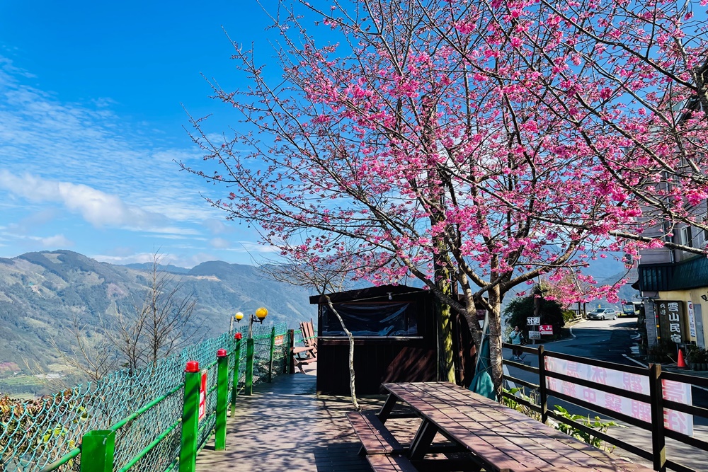 新竹雲山民宿景觀休息站，免門票喝咖啡賞雲海雲瀑